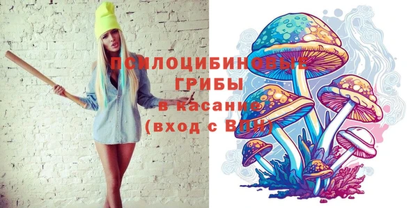 молекула духа Алексин