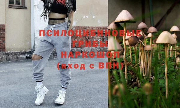 молекула духа Алексин