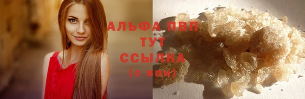 jwh Алзамай