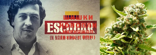 герыч Абинск