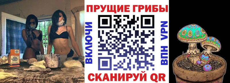 Псилоцибиновые грибы мухоморы  площадка телеграм  Электрогорск 